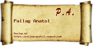 Pallag Anatol névjegykártya